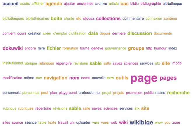 Fig. 2: Tag cloud du WikiBiGe